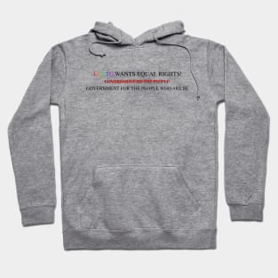 LGBTQ Government Corruption Hoodie